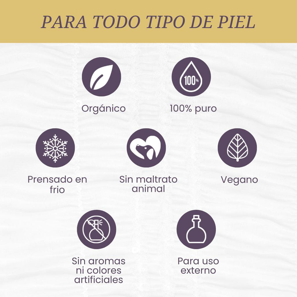 Aceite de Jojoba - LilaLavanda