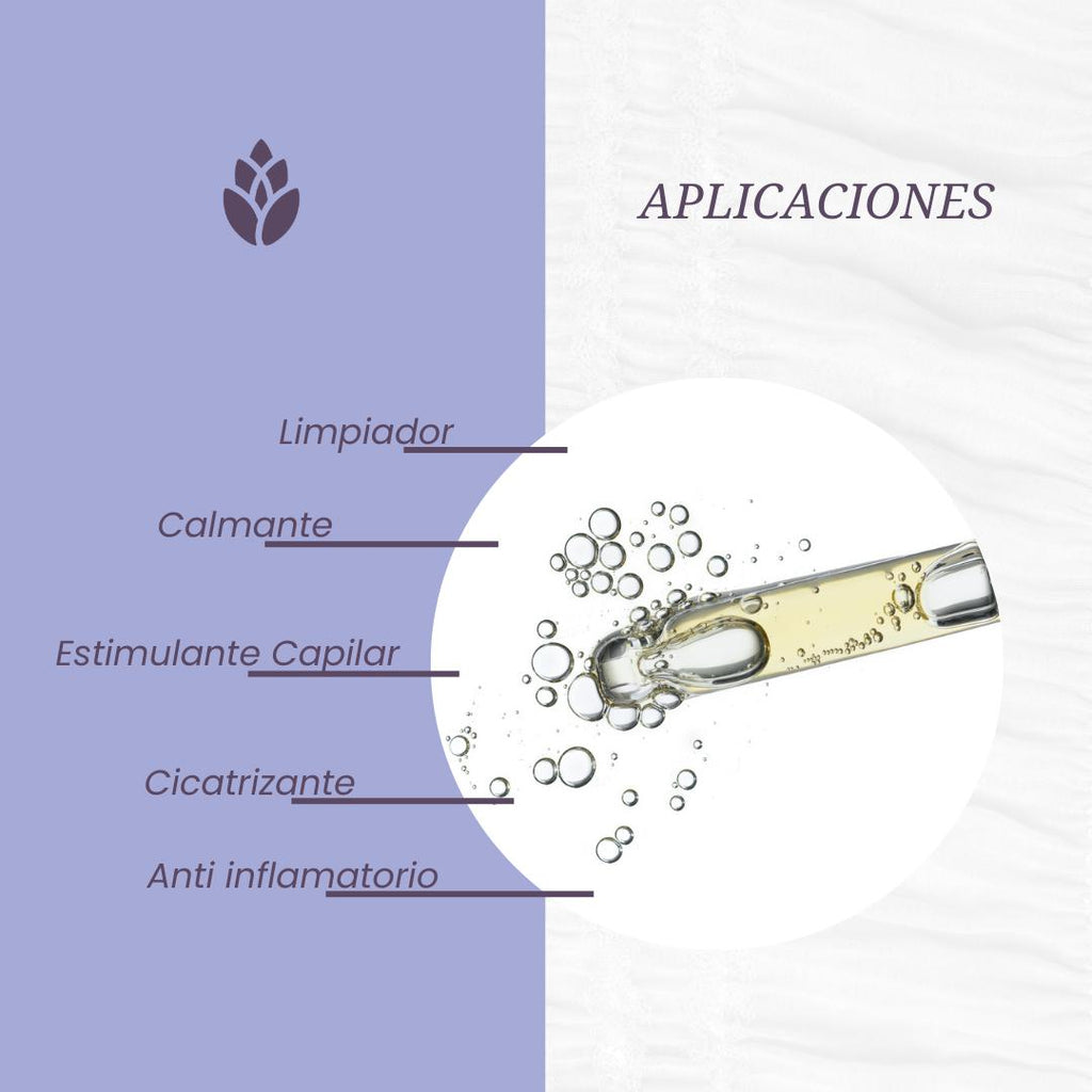 Aceite de Ricino - LilaLavanda